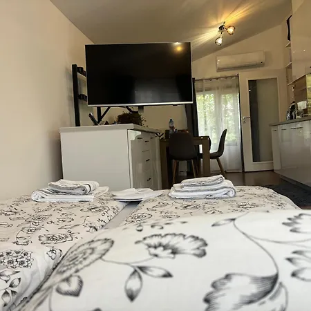 Charming Siyana - Self Check-in