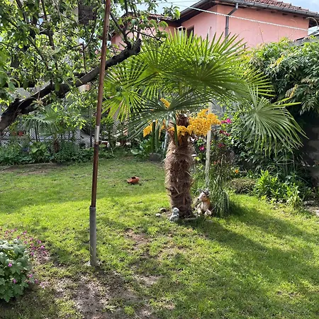 Apartman Charming Siyana - Self Check-in